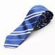 Галстук Harry Potter Ravenclaw Старший курс A049164 фото 1