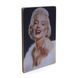 Wood постер "Marilyn Monroe. Мэрилин Монро. Портрет на голубом фоне" pvf0120 фото 2