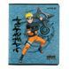 Тетрадь школьная в клетку Kite Naruto 24 листа NR23-238 фото 5