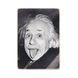 Wood постер "Albert Einstein. Альберт Эйнштейн. Черно-белый портрет" pvp0003 фото 1