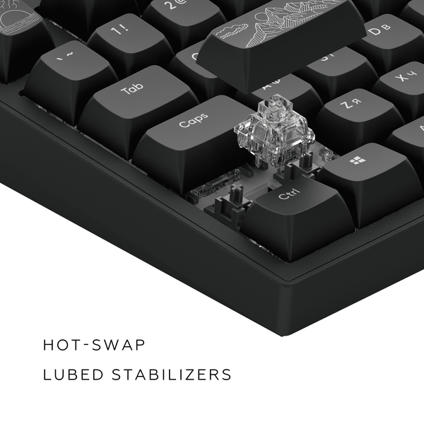 Игровая Клавиатура DARK PROJECT ALU81 Terra Nostra ENG/UA Gasket Mount DPKB_NOSTRA_81_ANSI_BLACK_UA фото