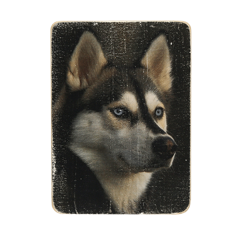 Wood Постер Dog #5 Husky pvz0024 фото
