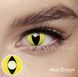 Линзы Кэт Елоу lens065 фото 1