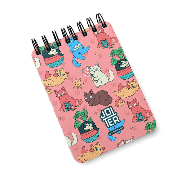 jotter115A6100cat фото